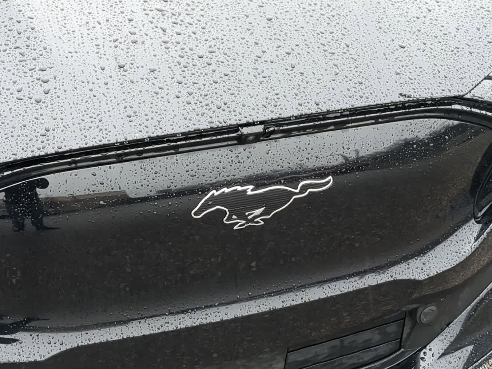 Thumbnail: 2021 Ford Mustang Mach-E - 16