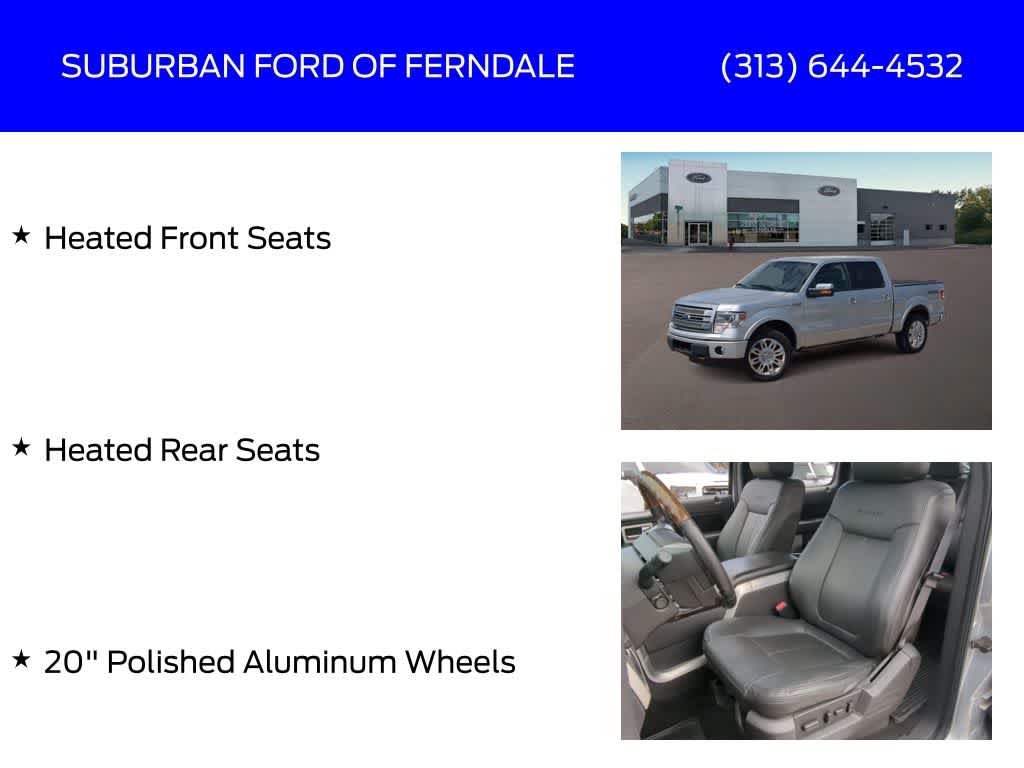 2013 Ford F-150 Platinum 16