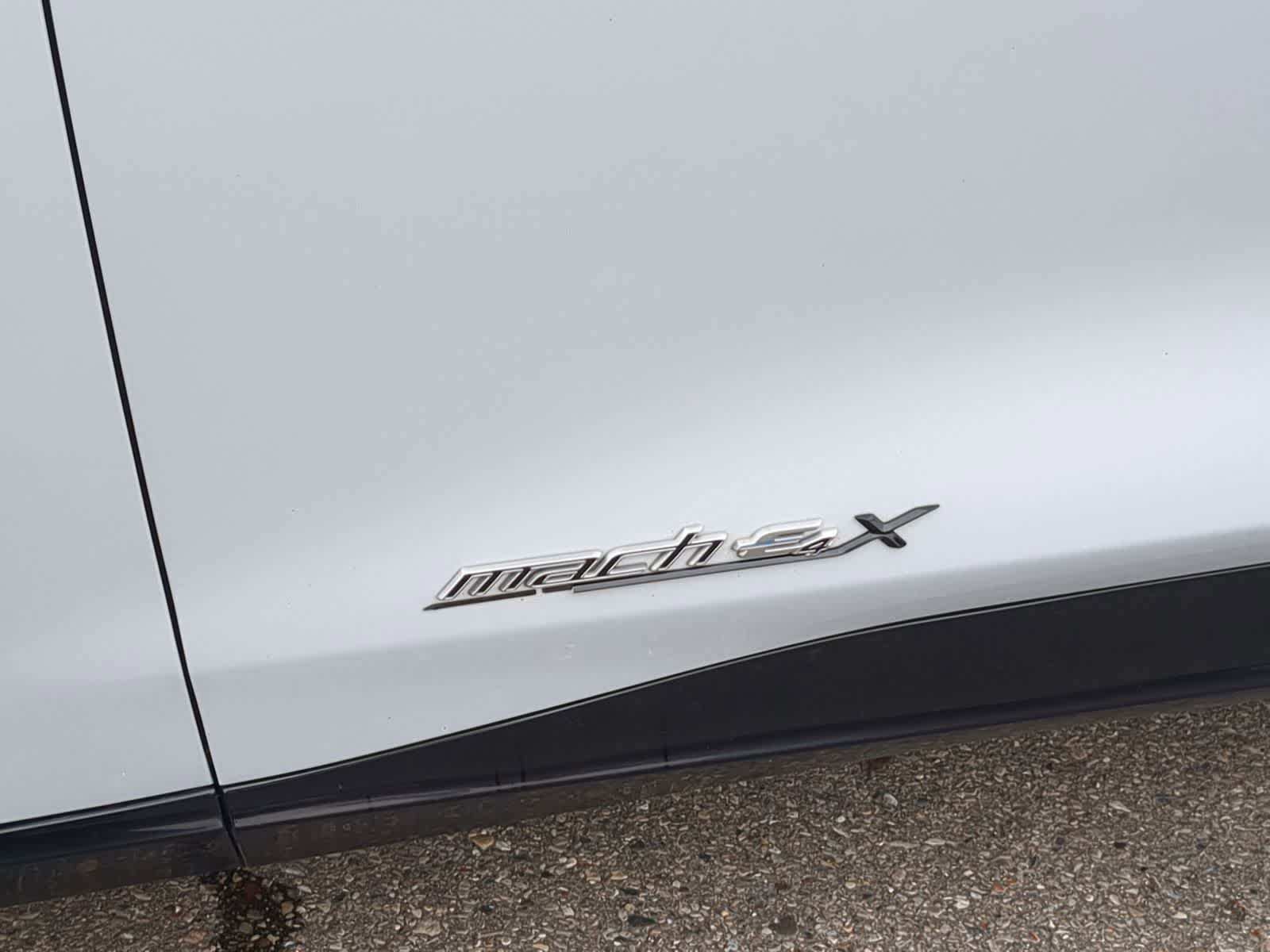 2021 Ford Mustang Mach-E Premium 18
