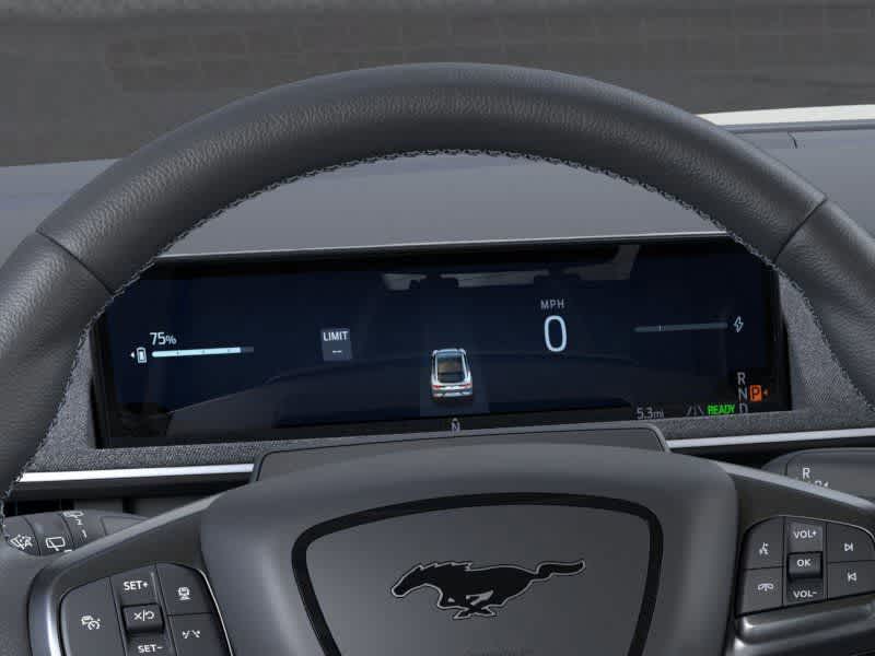 Thumbnail: 2025 Ford Mustang Mach-E - 14