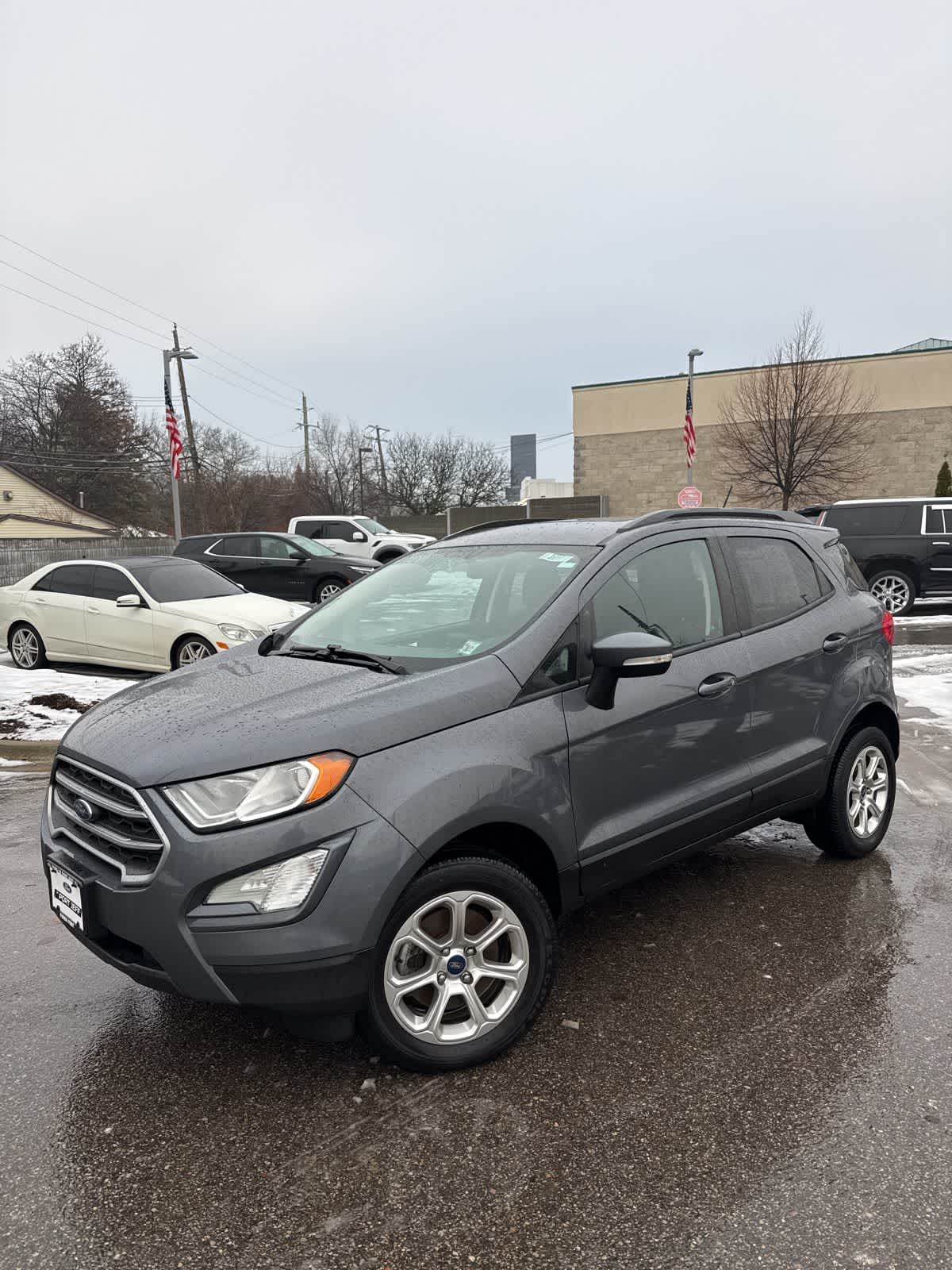 2018 Ford EcoSport SE -
                  Ferndale, MI