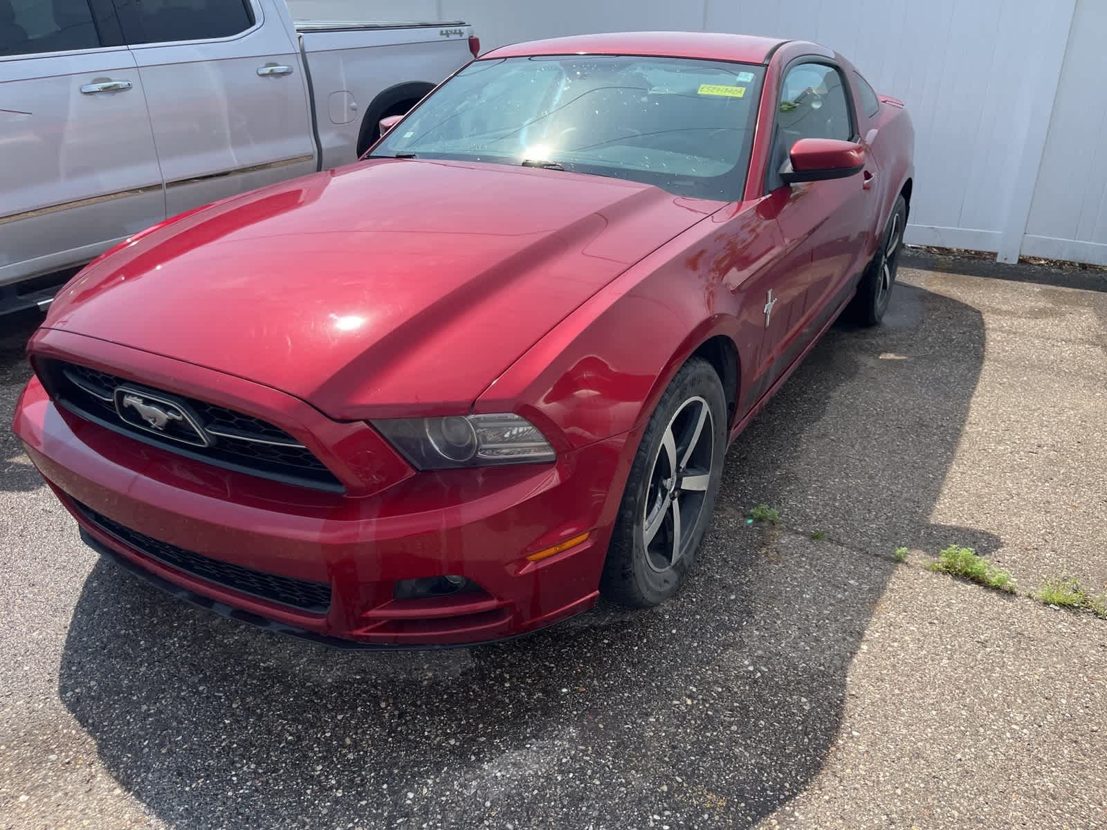 2014 Ford Mustang Premium -
                  Sterling Heights, MI