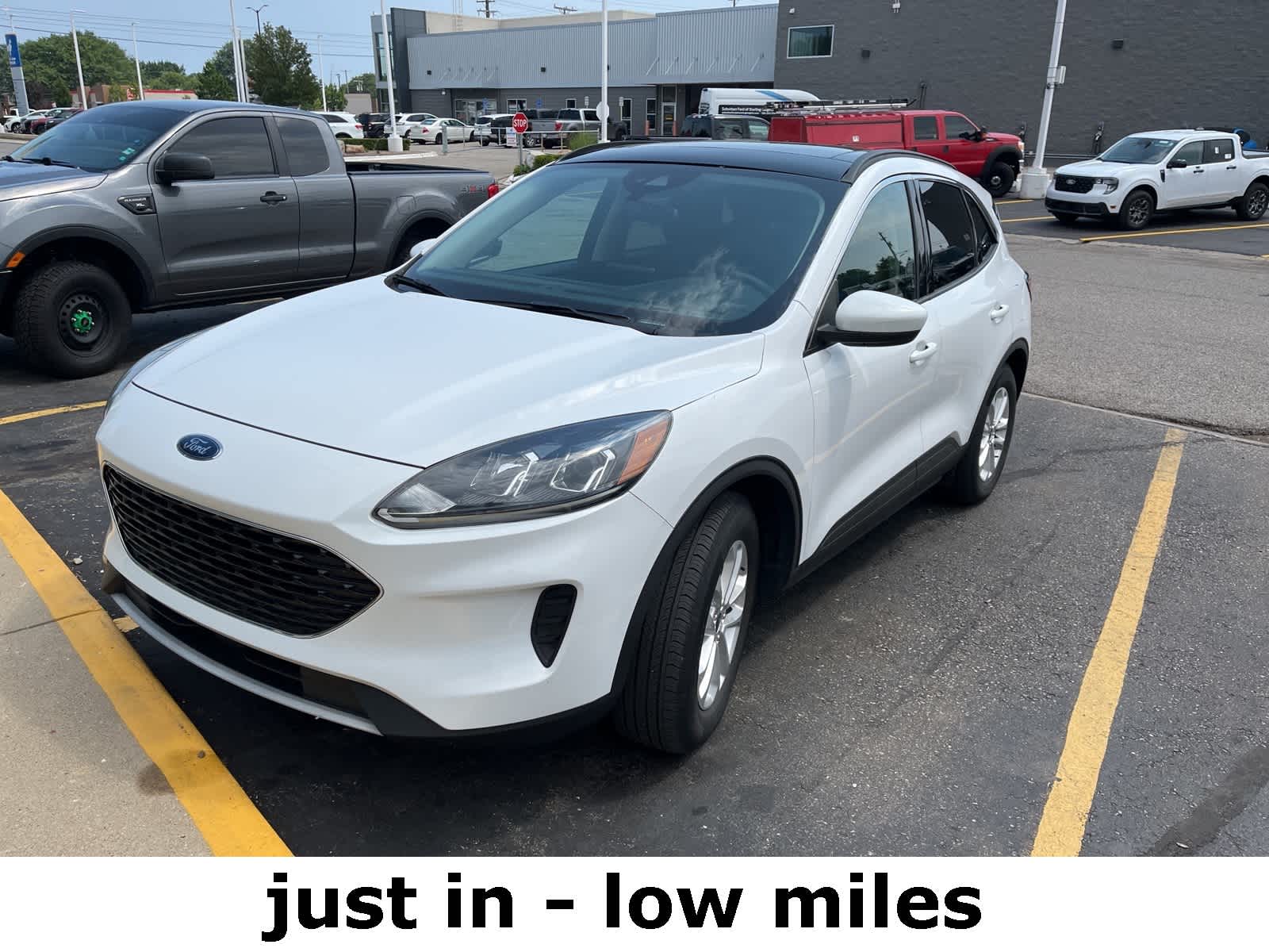 Thumbnail: 2020 Ford Escape - 1