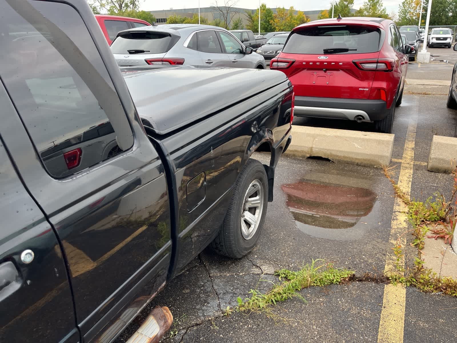 Thumbnail: 2008 Ford Ranger - 8