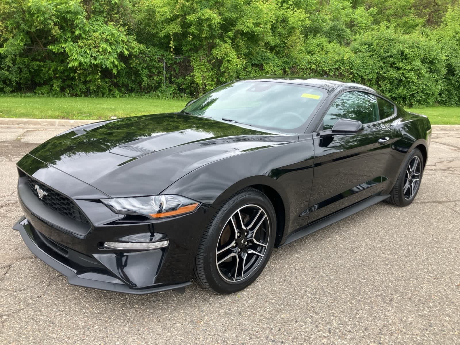 2022 Ford Mustang  -
                  Sterling Heights, MI