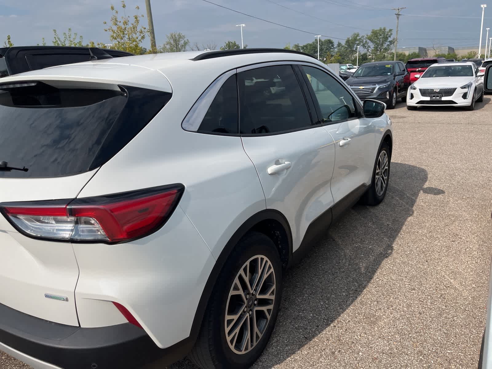 Thumbnail: 2020 Ford Escape - 14