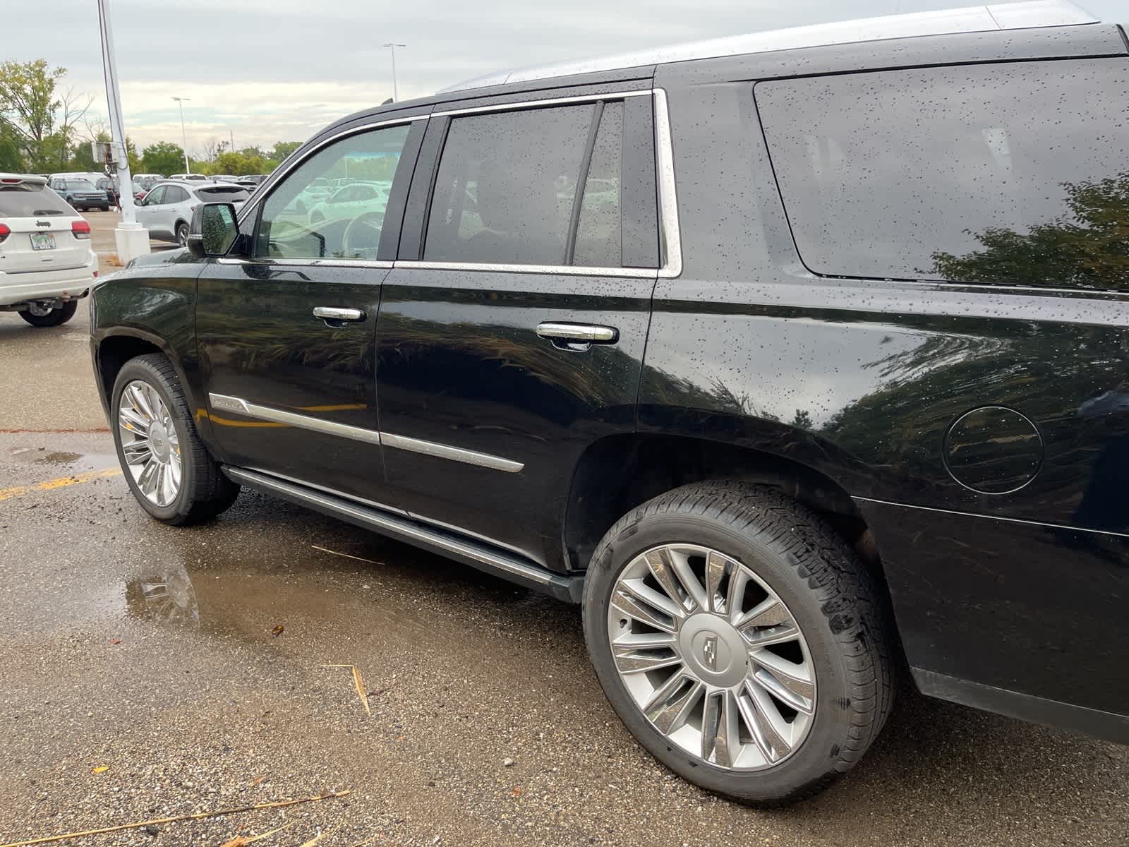 Thumbnail: 2019 Cadillac Escalade - 10