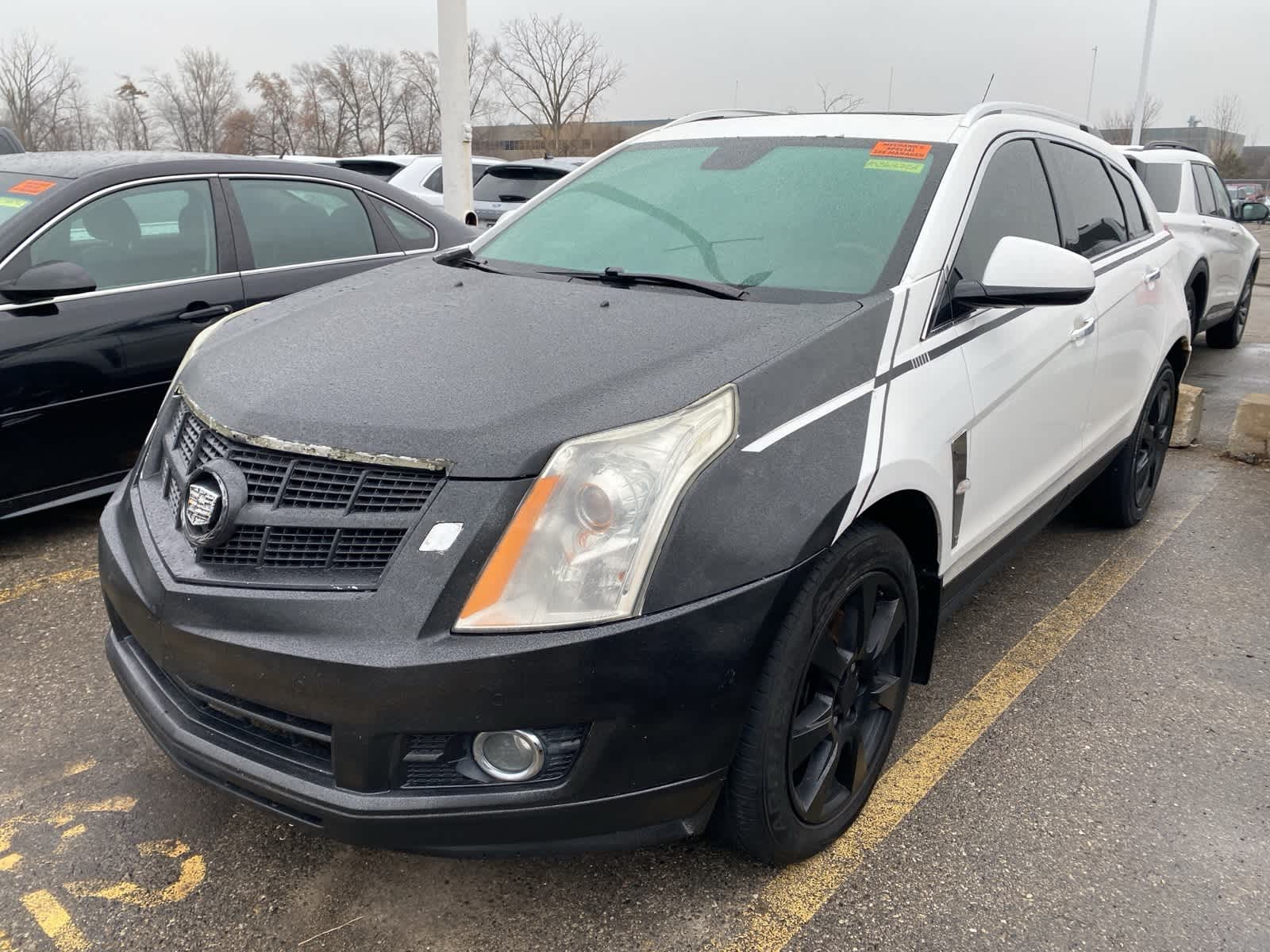 2010 Cadillac SRX Performance -
                  Sterling Heights, MI