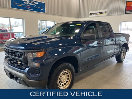 2022 Chevrolet Silverado 1500 Work Truck Truck
