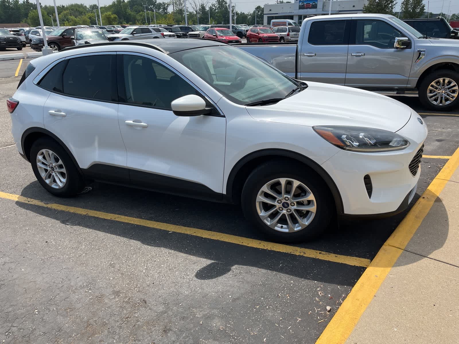 Thumbnail: 2020 Ford Escape - 16