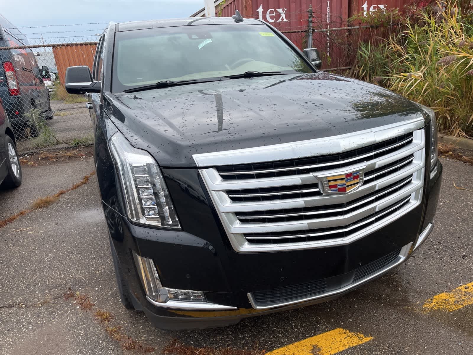 Thumbnail: 2019 Cadillac Escalade - 21
