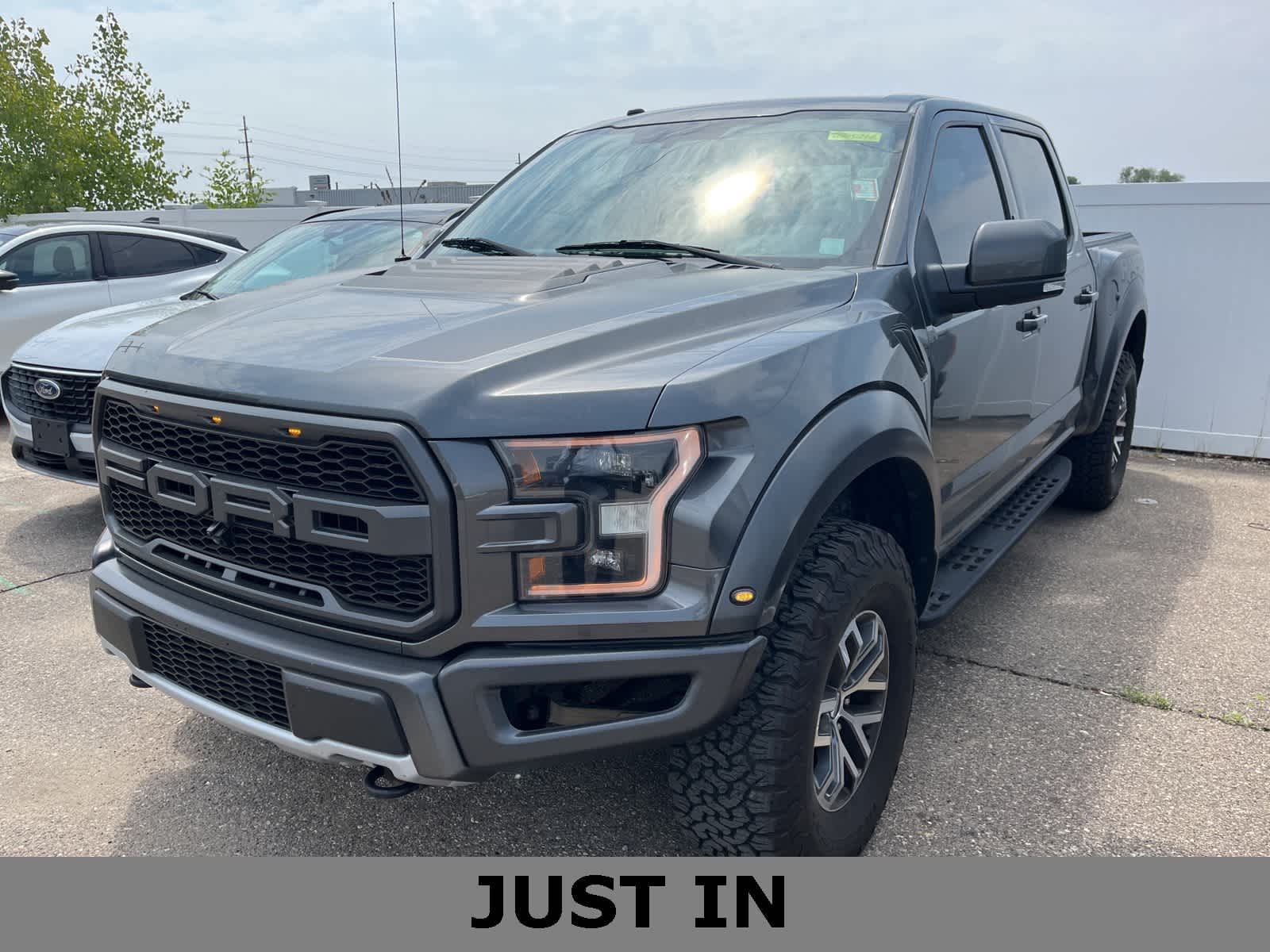 2018 Ford F-150 Raptor -
                  Sterling Heights, MI