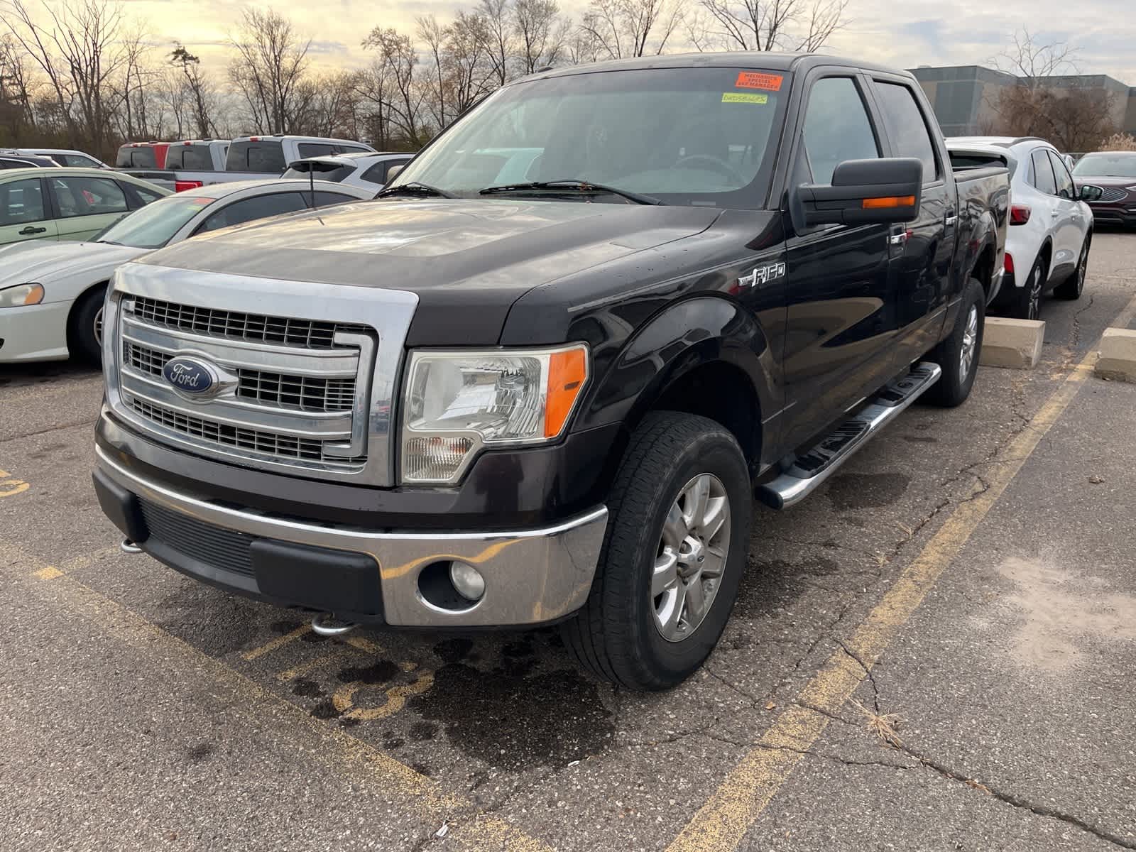2013 Ford F-150 XLT -
                  Sterling Heights, MI