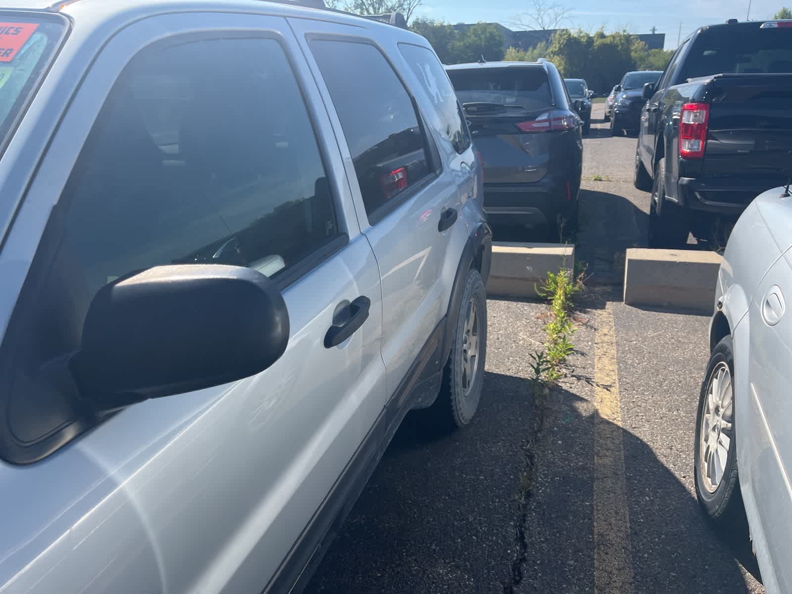 Thumbnail: 2004 Ford Escape - 6