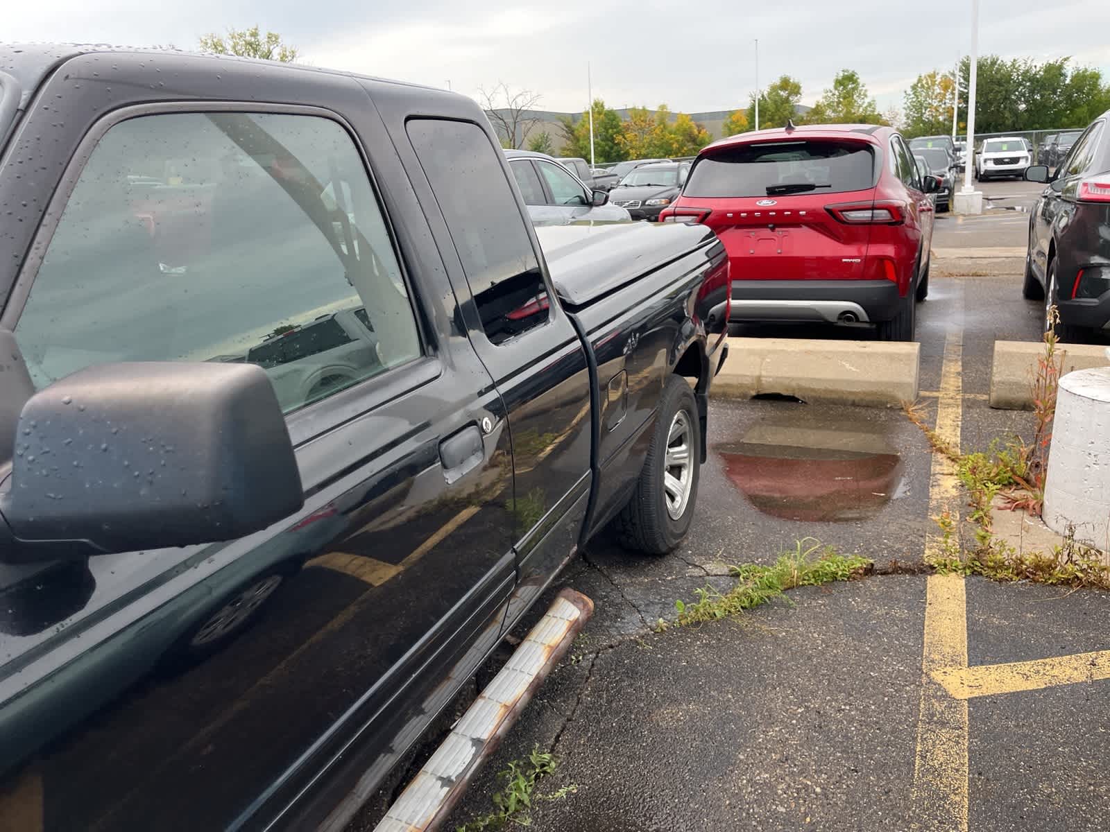 Thumbnail: 2008 Ford Ranger - 7