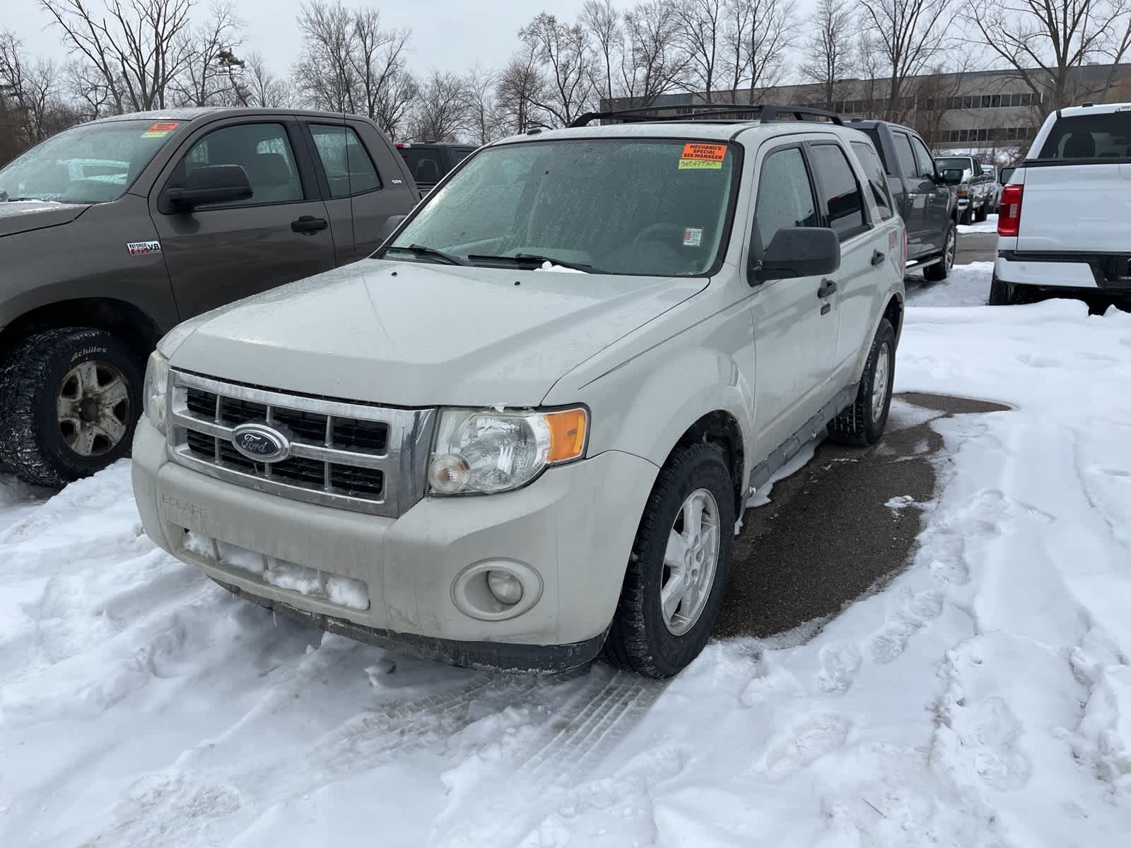 2009 Ford Escape XLT -
                  Sterling Heights, MI
