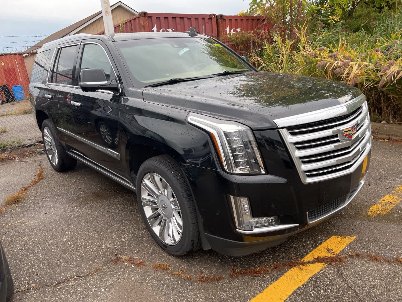 Thumbnail: 2019 Cadillac Escalade - 19