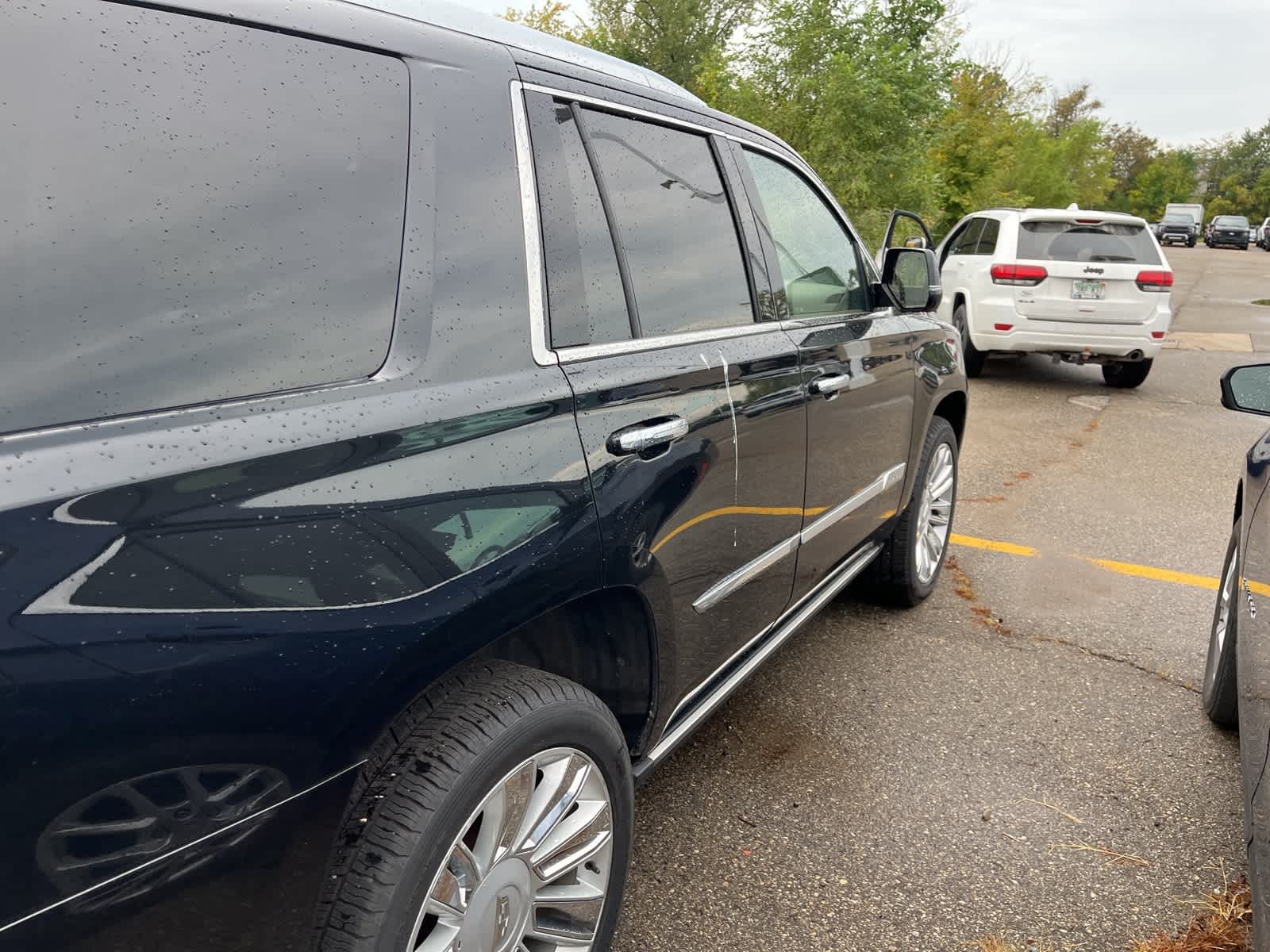Thumbnail: 2019 Cadillac Escalade - 16