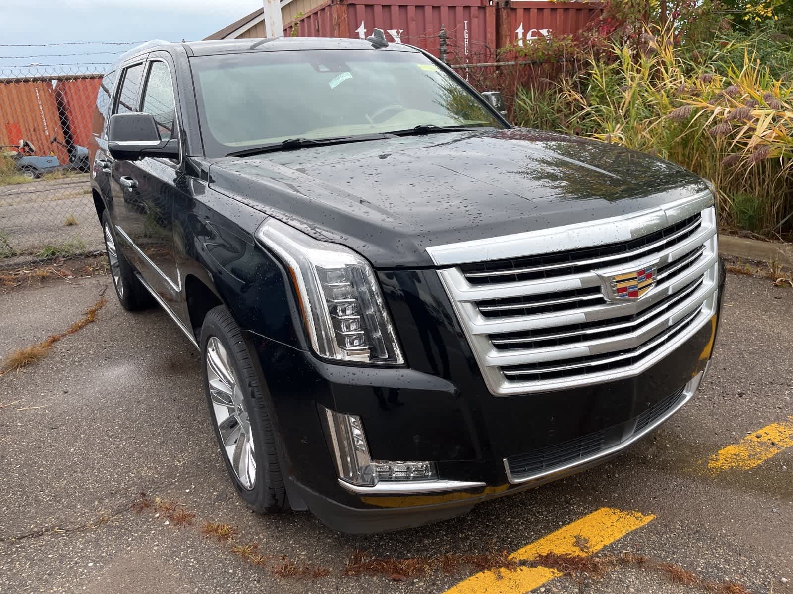 Thumbnail: 2019 Cadillac Escalade - 20