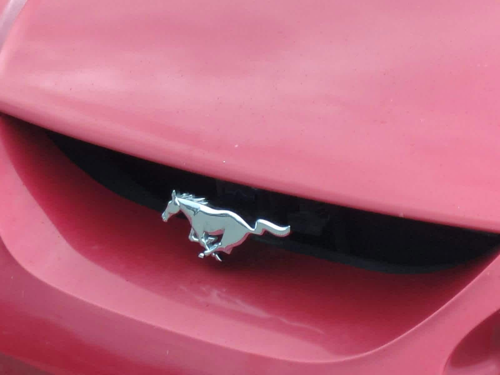 Thumbnail: 1994 Ford Mustang - 12