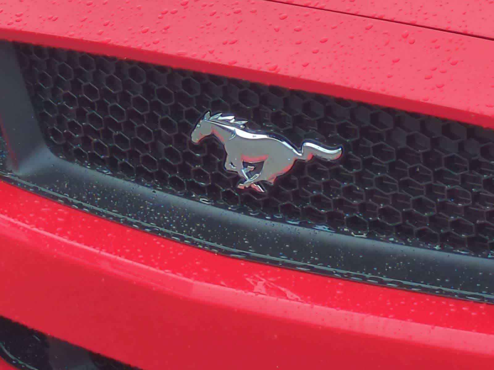 Thumbnail: 2015 Ford Mustang - 12