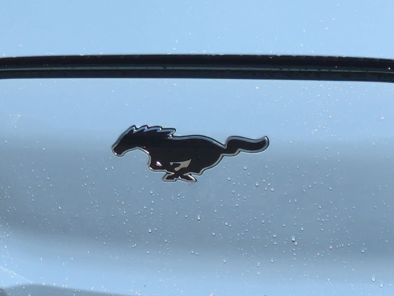 Thumbnail: 2026 Ford Mustang Mach-E - 12