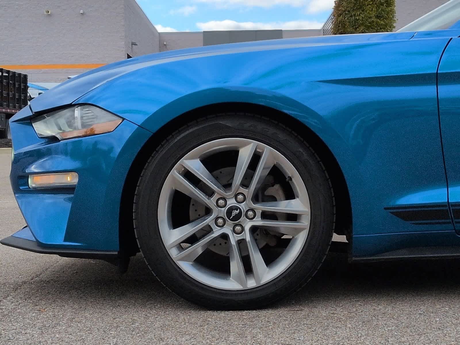 Thumbnail: 2019 Ford Mustang - 14