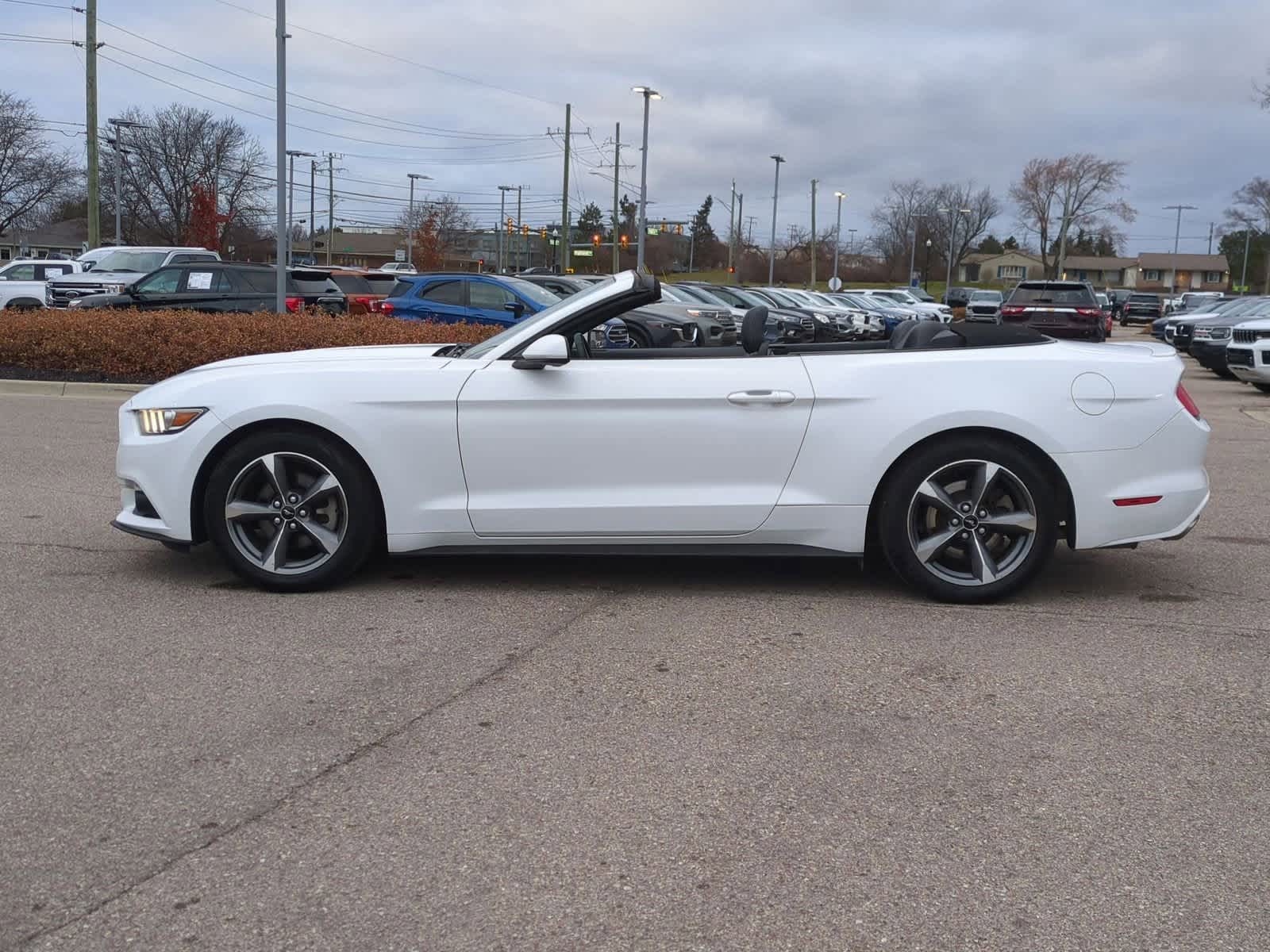 Thumbnail: 2015 Ford Mustang - 5