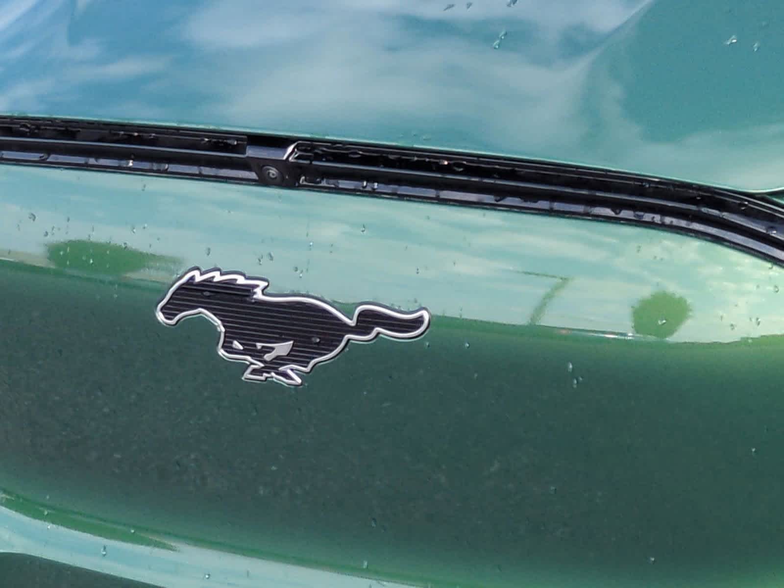 Thumbnail: 2025 Ford Mustang Mach-E - 12