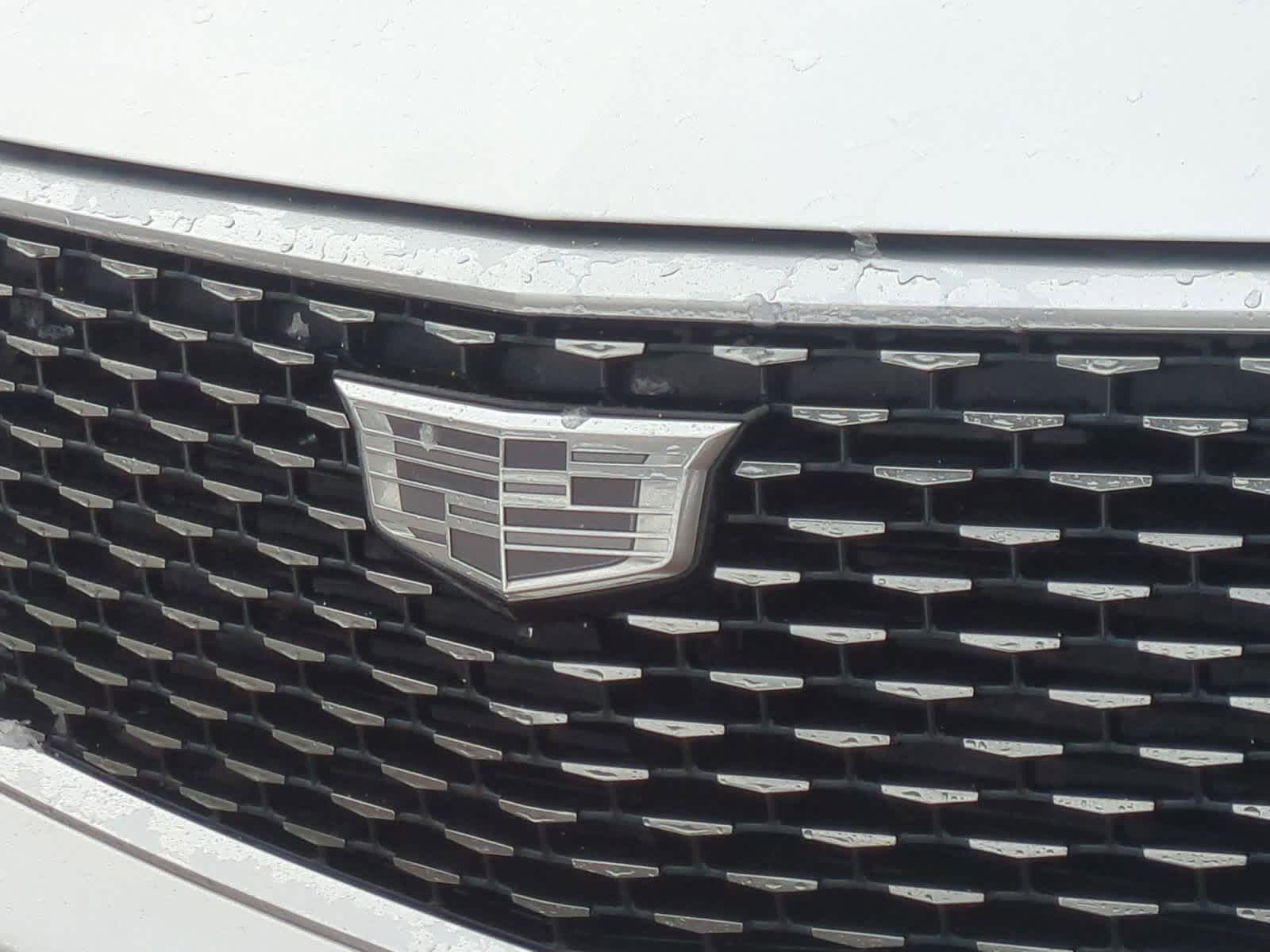 Thumbnail: 2024 Cadillac XT6 - 12