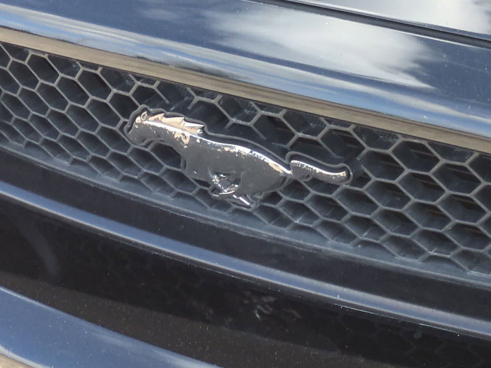 Thumbnail: 2013 Ford Mustang - 10