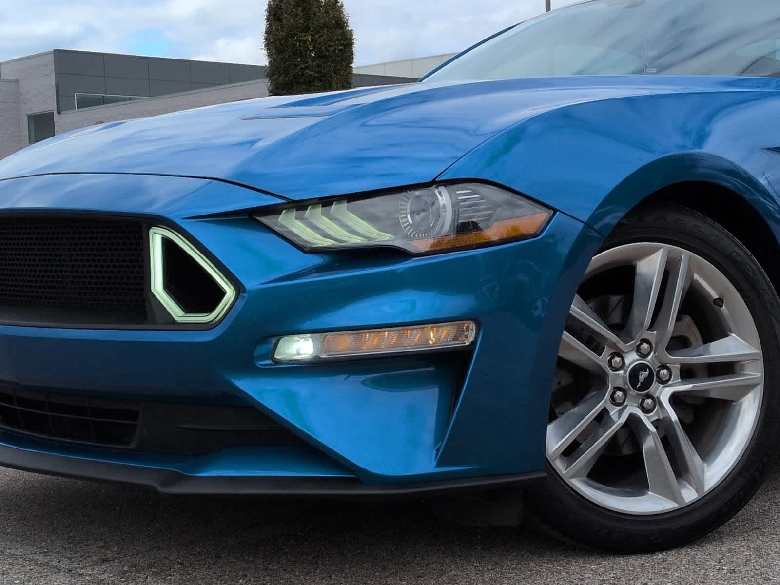 Thumbnail: 2019 Ford Mustang - 11