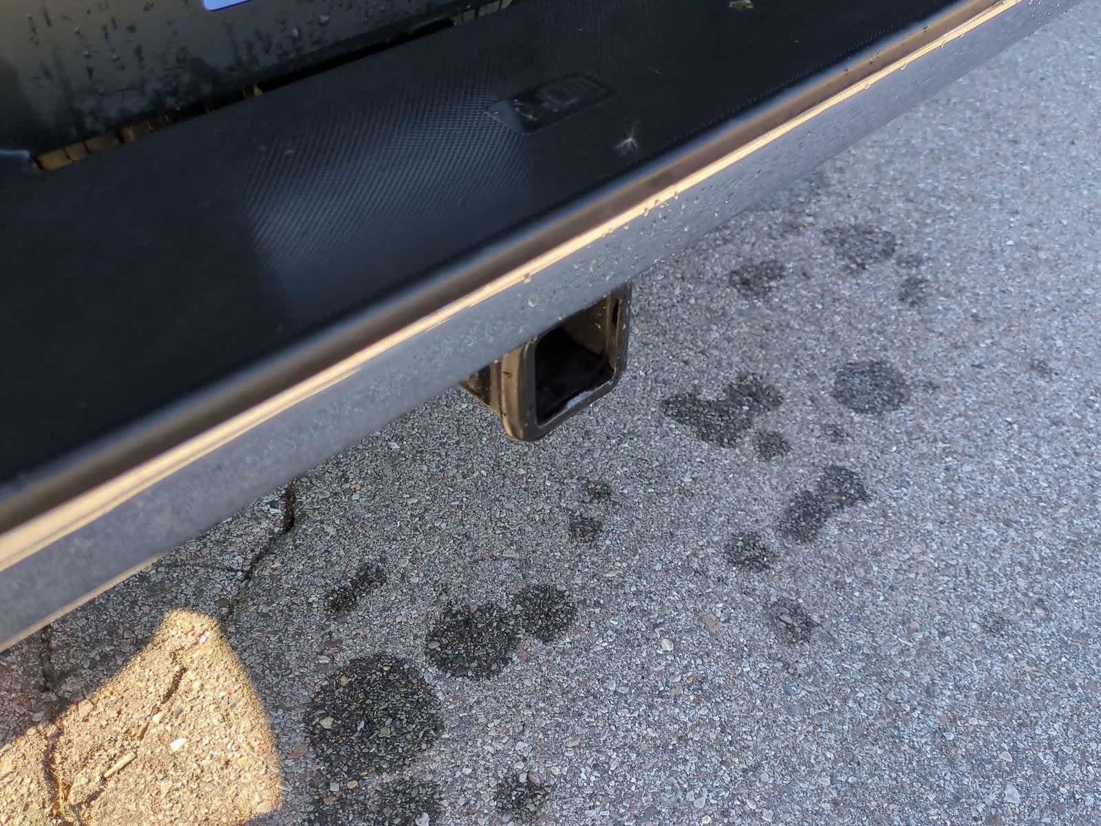 Thumbnail: 2025 Ford F-150 - 32