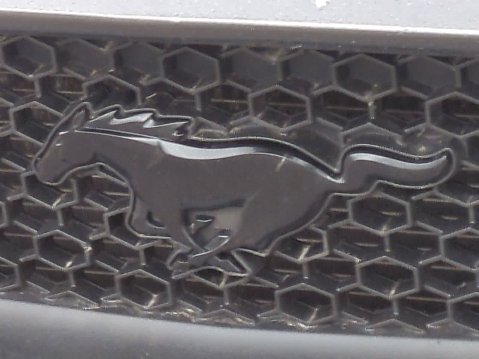 Thumbnail: 2016 Ford Mustang - 12