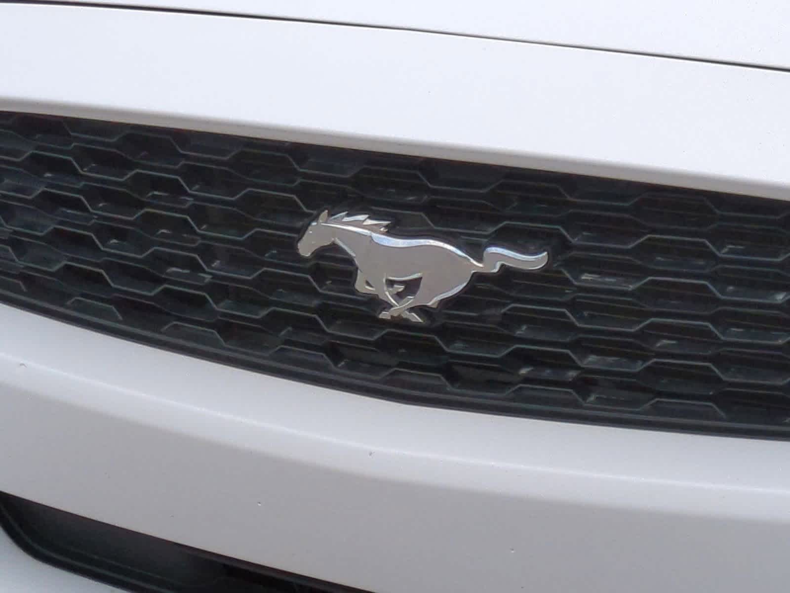 Thumbnail: 2015 Ford Mustang - 13