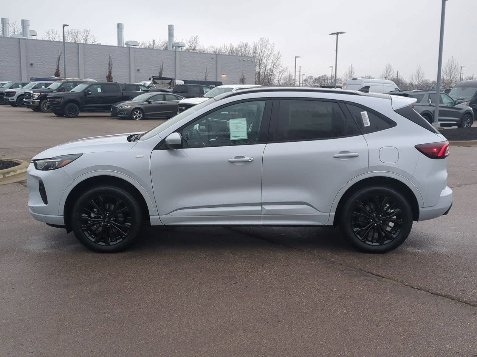 2025 Ford Escape ST-Line Elite 5