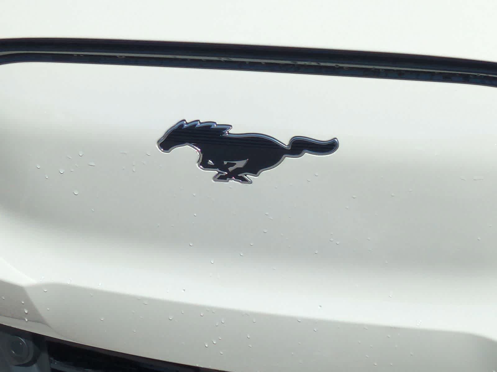 Thumbnail: 2026 Ford Mustang Mach-E - 12