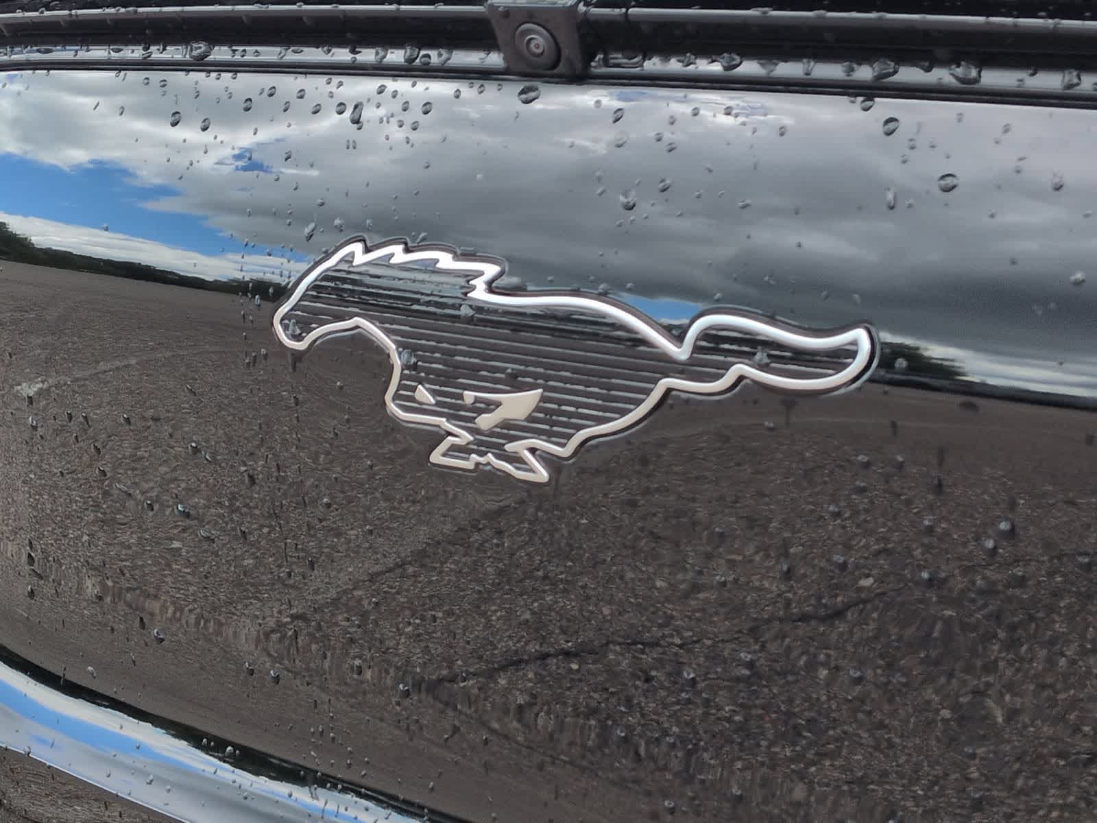 Thumbnail: 2026 Ford Mustang Mach-E - 11