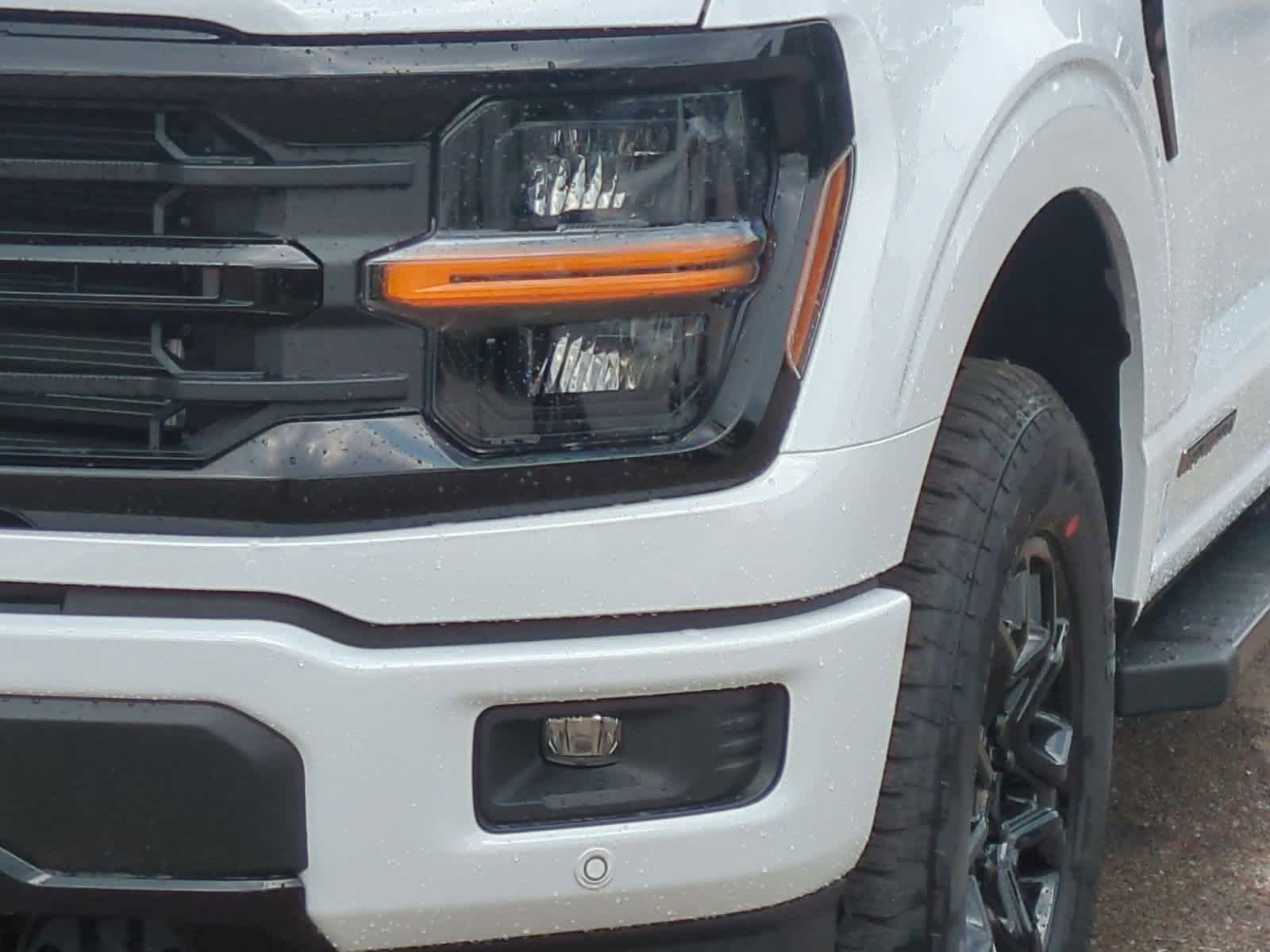 2025 Ford F-150 XLT 11
