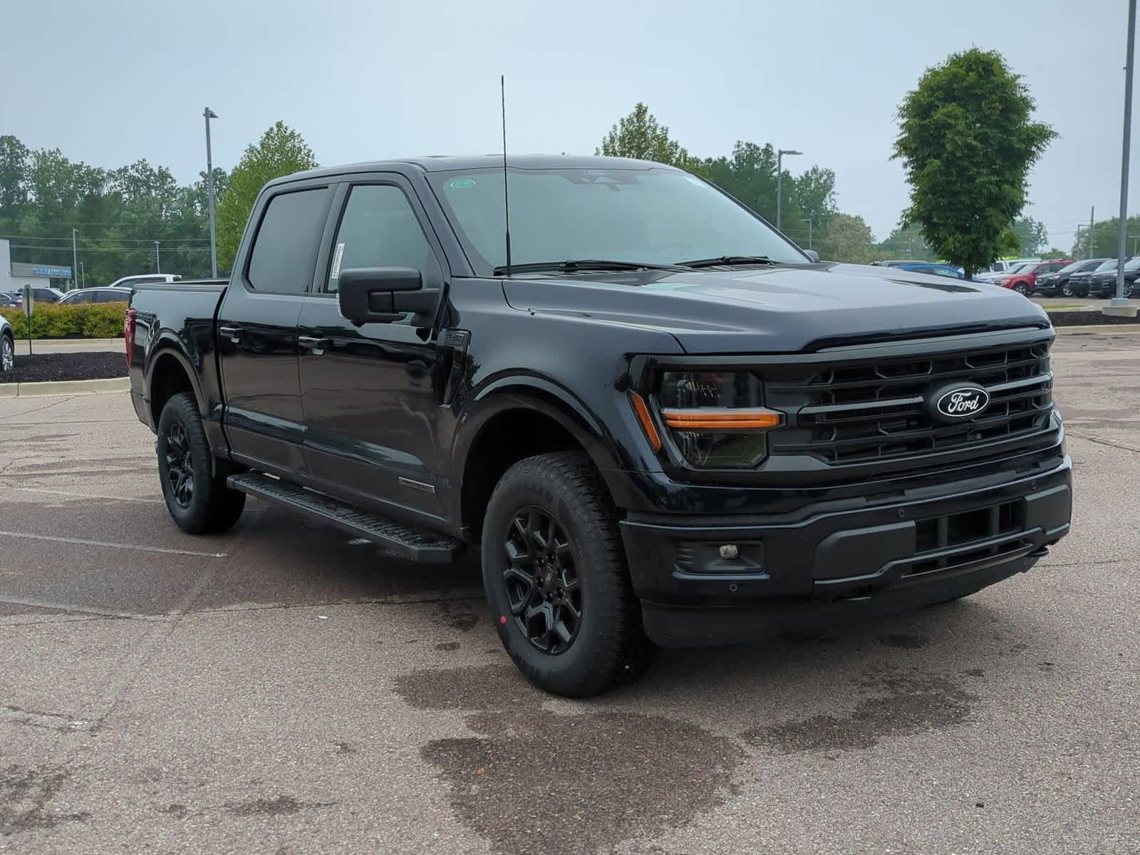 2025 Ford F-150 XLT 2