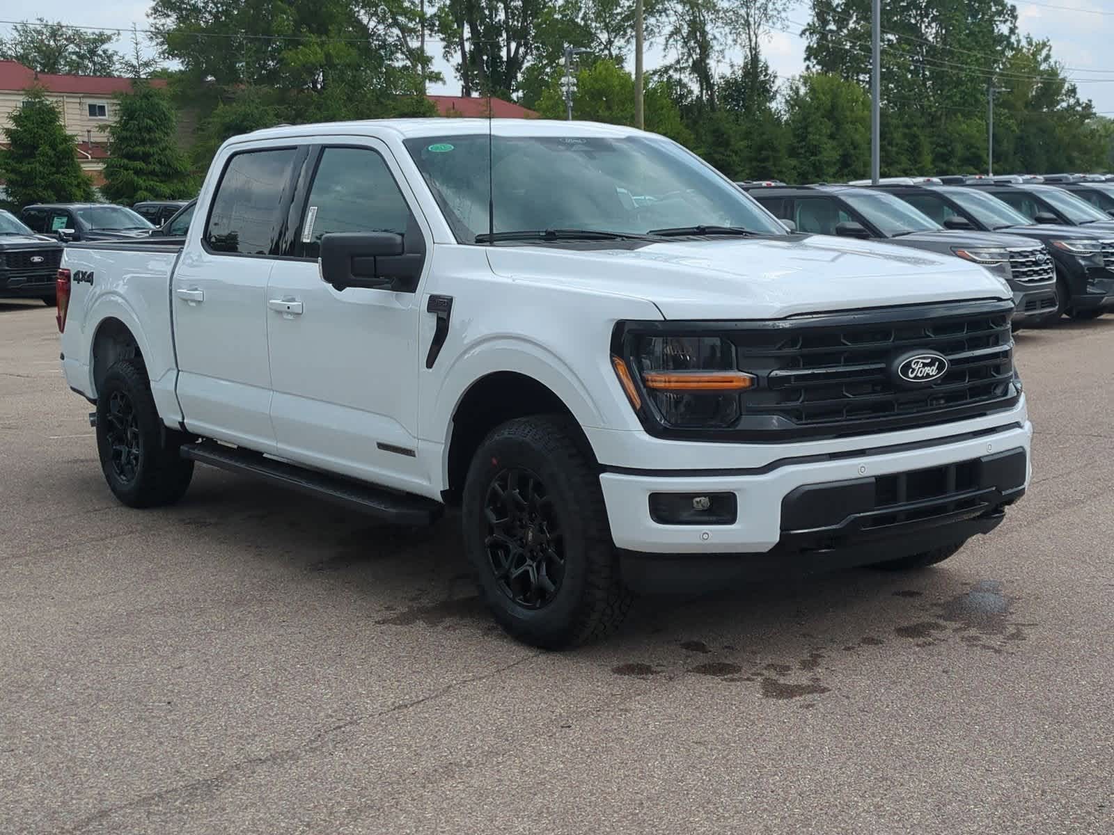 2025 Ford F-150 XLT 2