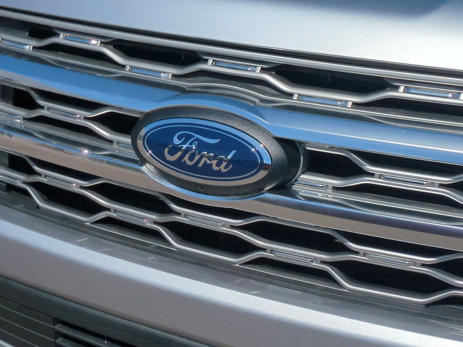 Thumbnail: 2024 Ford Expedition - 12