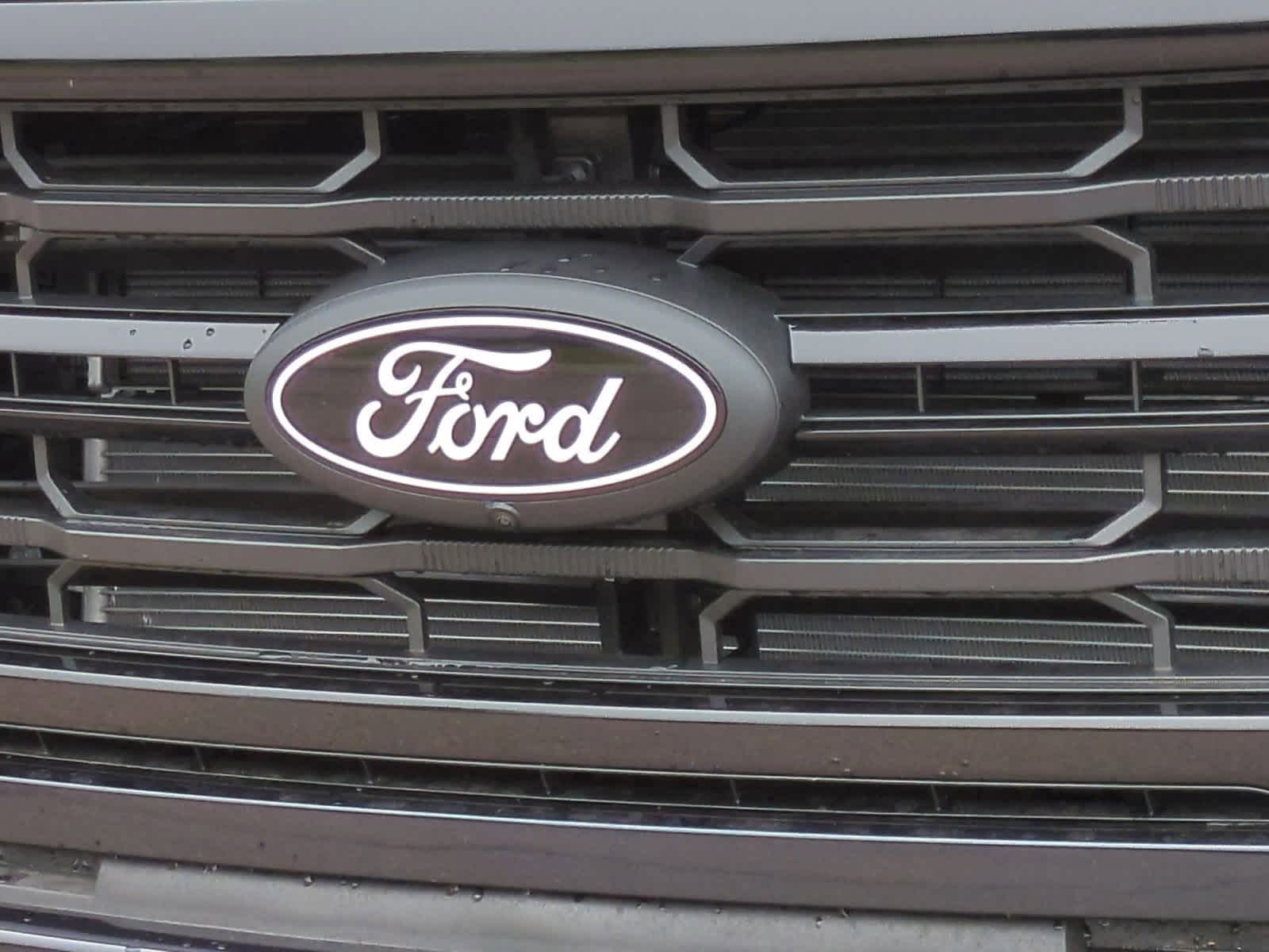 2025 Ford F-150 XLT 12