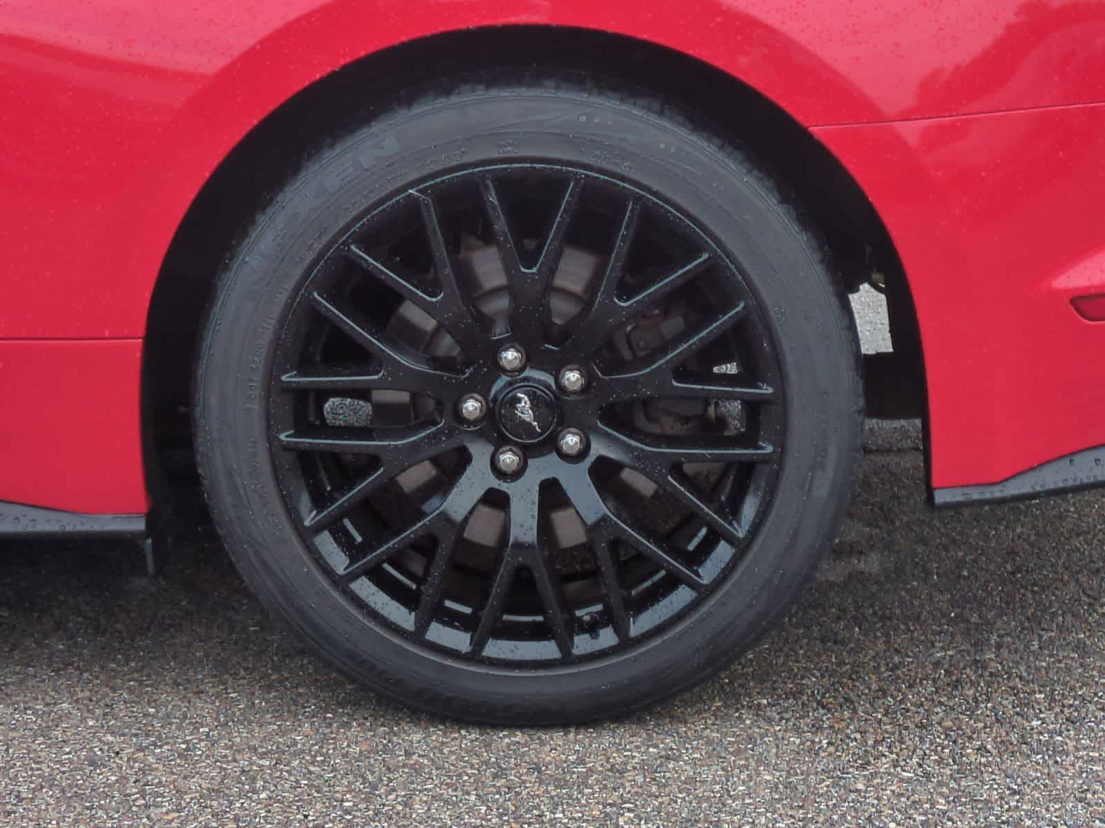Thumbnail: 2015 Ford Mustang - 14
