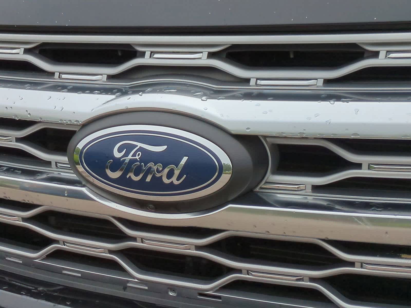 2022 Ford Expedition MAX Platinum 12