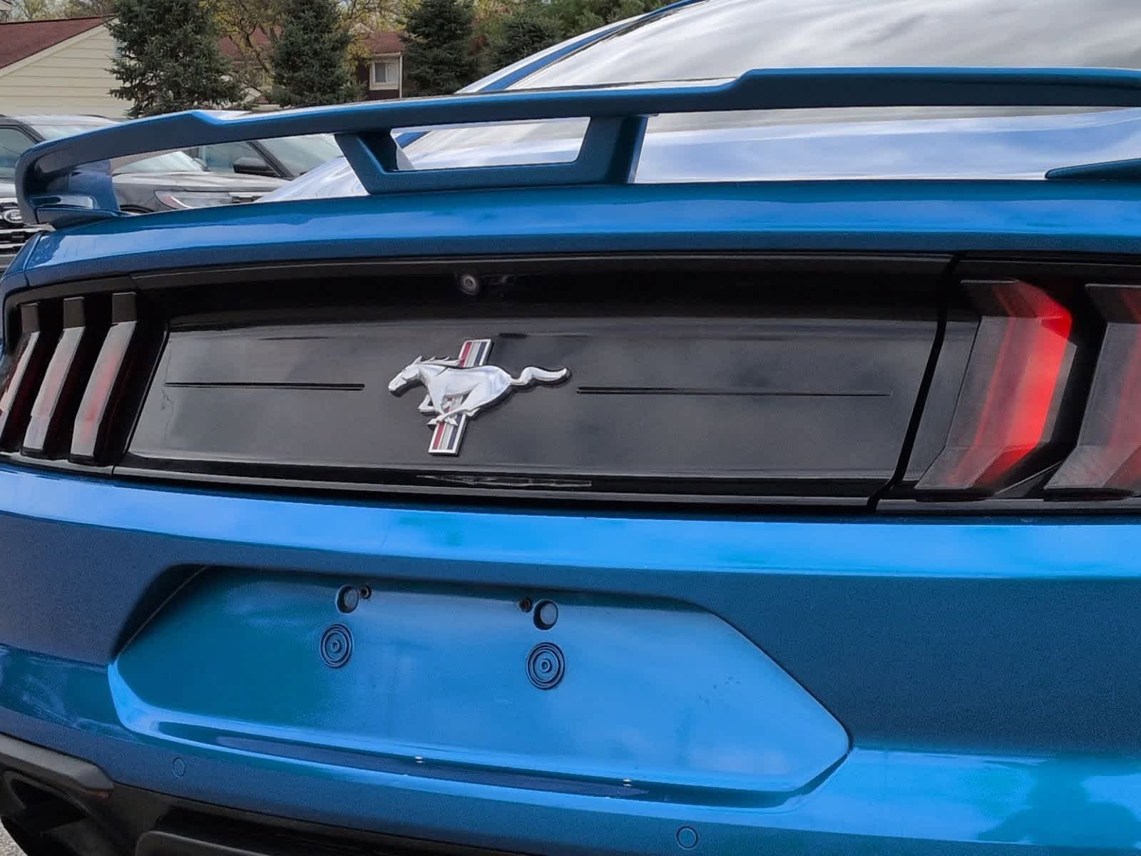 Thumbnail: 2019 Ford Mustang - 13