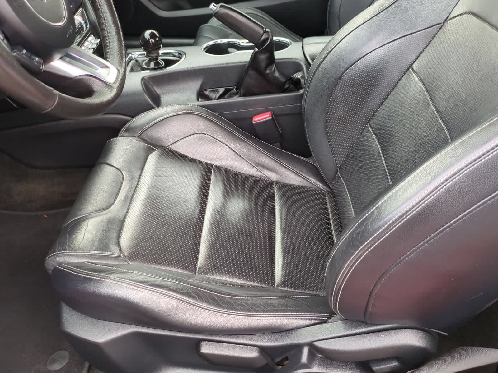 Thumbnail: 2015 Ford Mustang - 16