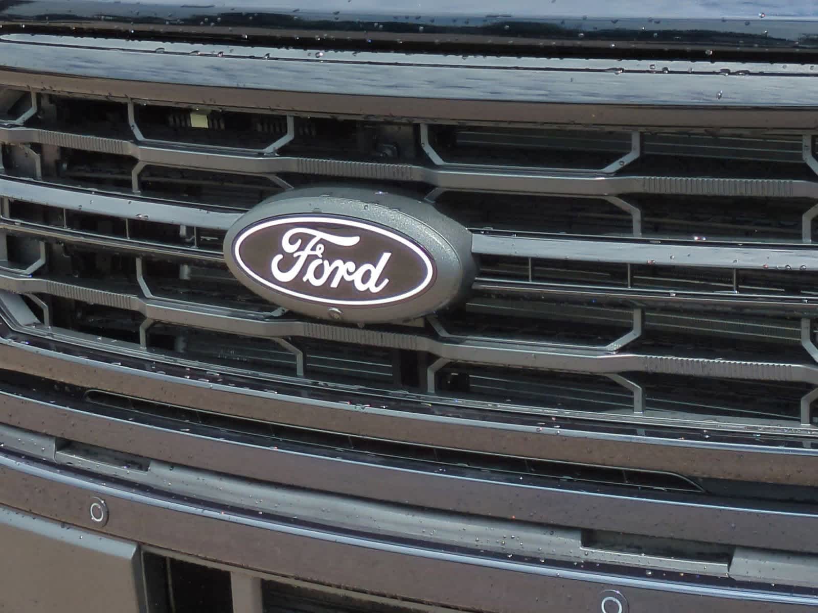 Thumbnail: 2025 Ford F-150 - 12