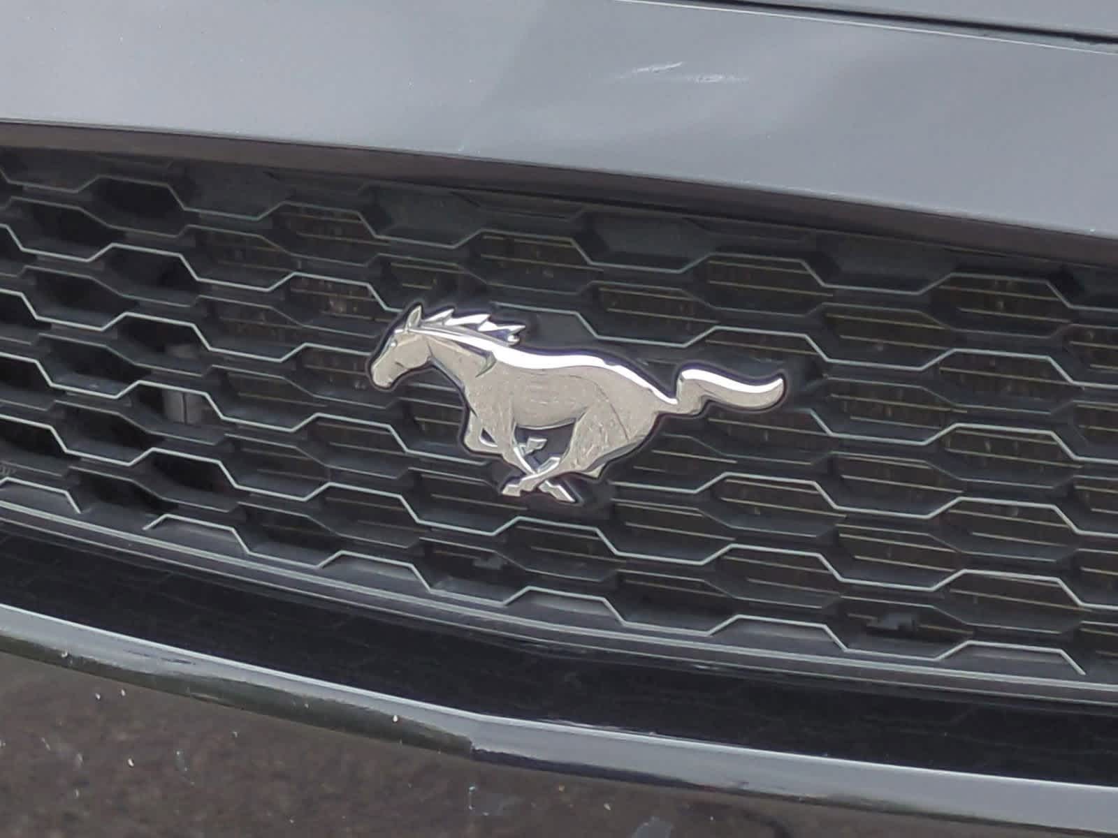 Thumbnail: 2017 Ford Mustang - 12