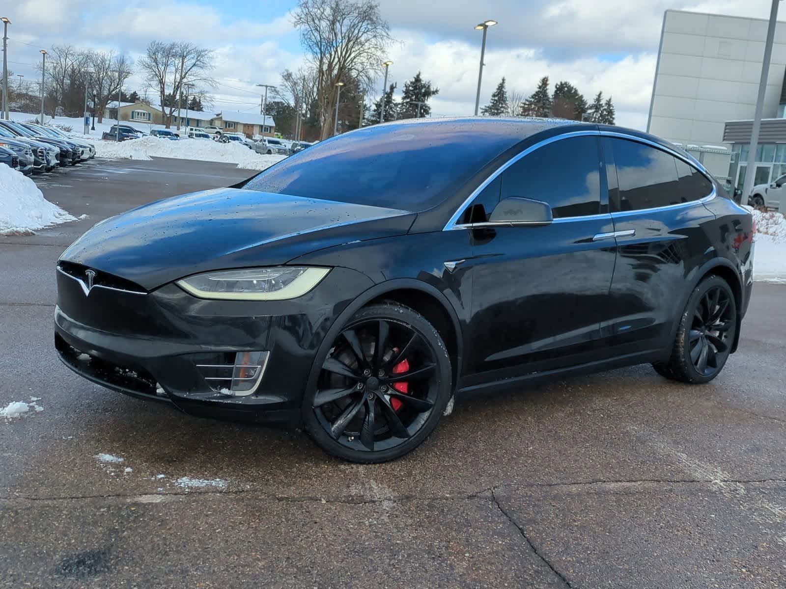 2017 Tesla Model X P100D -
                  Waterford, MI